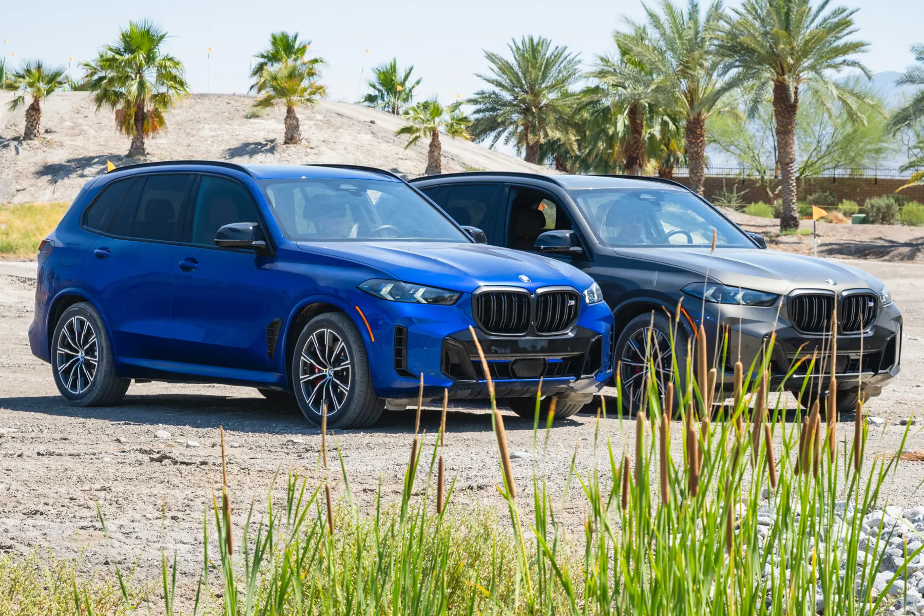 BMW X5 M60i parked off-road